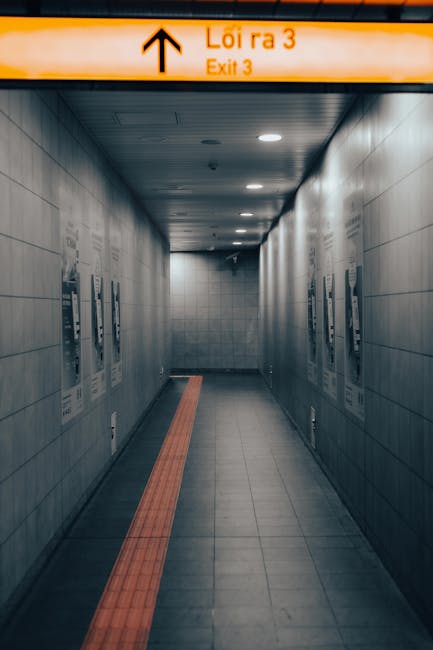 Balanced diet plate layout